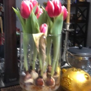 Meet your Posher, Alexei